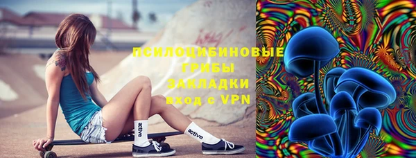 дмт Ладушкин