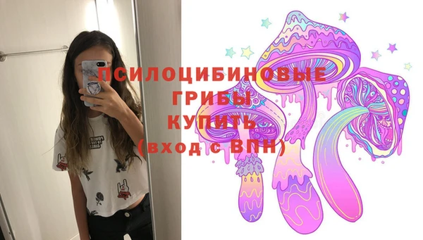 метадон Лагань